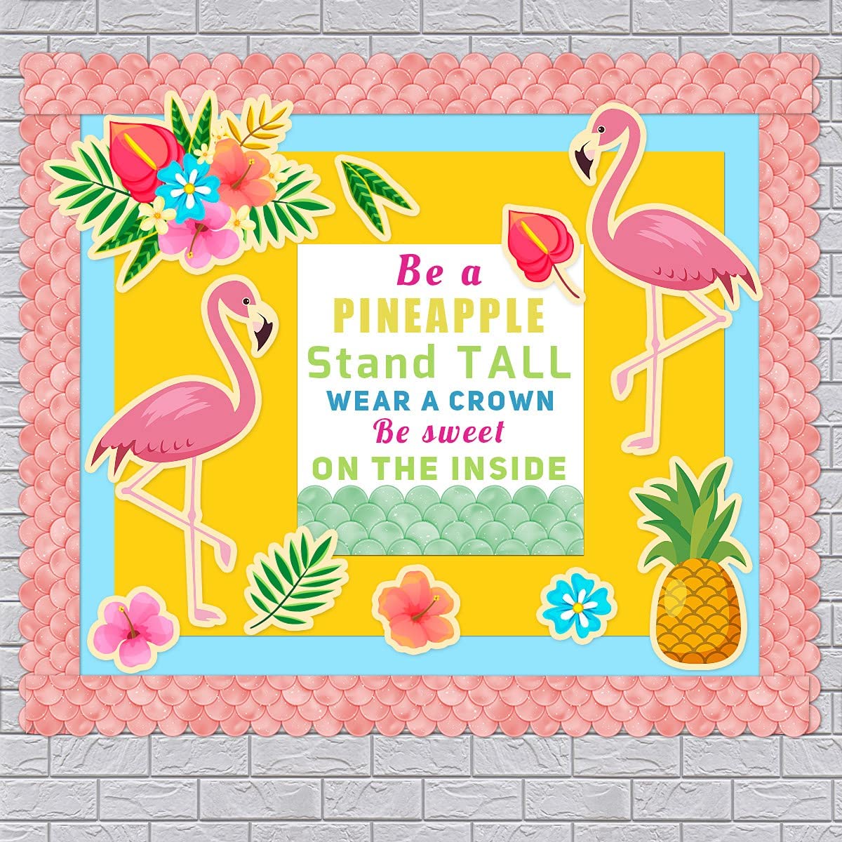 20M Ombre Roze Coquilles Bulletin Board Grenzen Re... Grandado