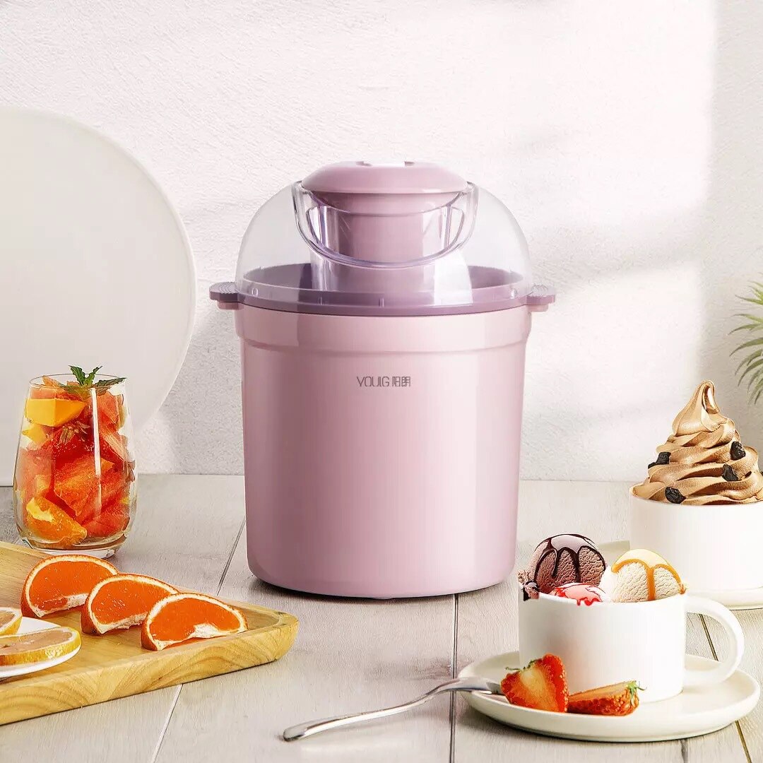 220V Ice Cream Machine Home Automatic Ice Cream Machine