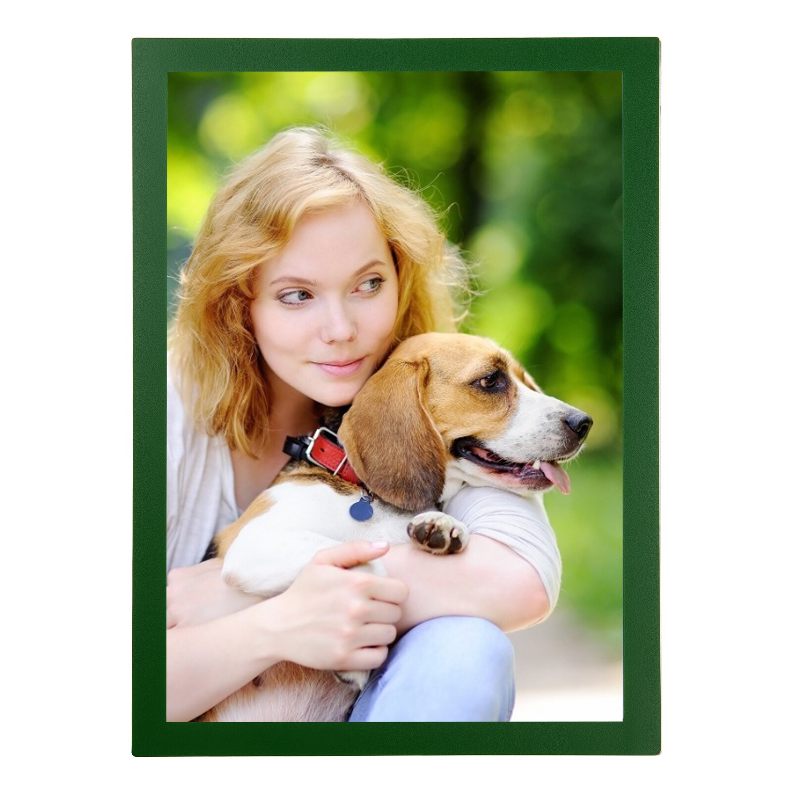 A4 Document Sign Holder Frosted Magnetic File Frame PVC Poster Picture Notice Display Frame for Wall Door