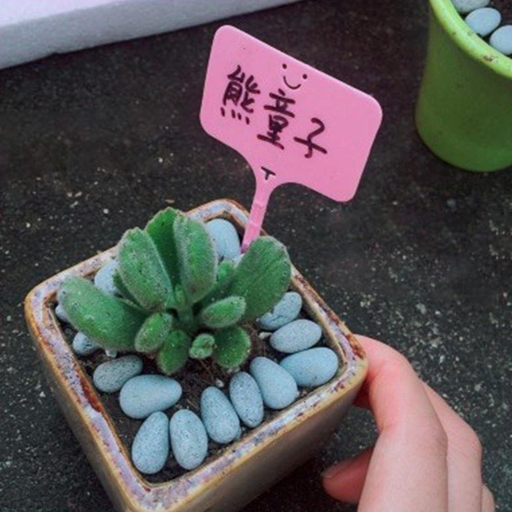100pcs Plant Gardening Flower Label Plant Label Tree Label Succulent Label