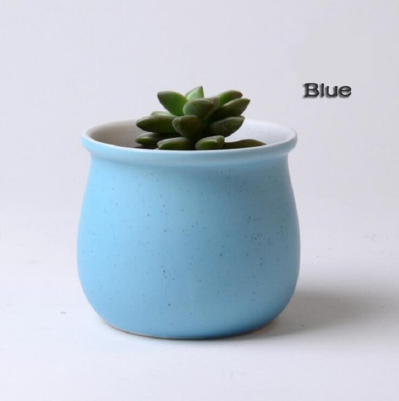 TECHOME-maceta de plantas Multicolor, macarrón de cerámica de alta temperatura, macetas suculentas para flores, decoración de escritorio para el hogar y la Oficina: Blue