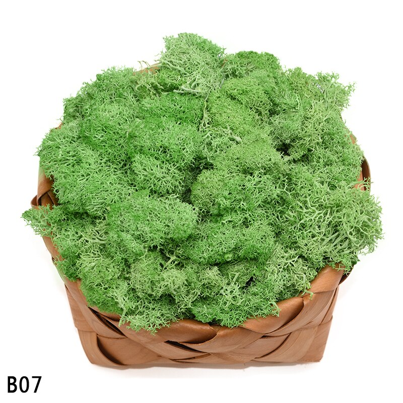 40g kunstige planter evigt liv mos mini have mikro landskab tilbehør boligindretning væg diy blomster materiale: B07