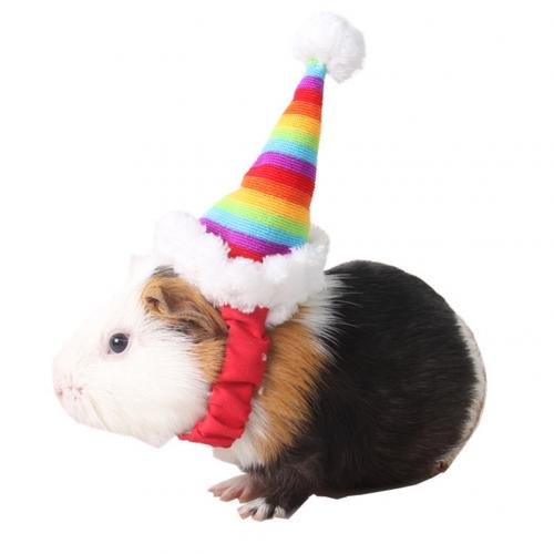 Pet Kat Hond Puppy Dier Kerst Hoed Santa Hoed Pet Konijn Rat Kitten Regenboog Cap Met Elastische Band Kerst Hoed accessoires: Default Title