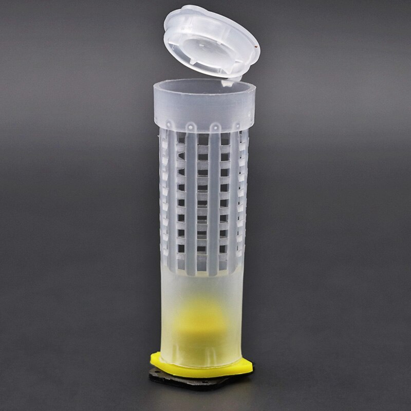 Bees Tools Beekeeping Cages King Queen Rearing Cupkit System Bee Catcher Box Cell Cups Cage Nicot Complete Kit Apicultura