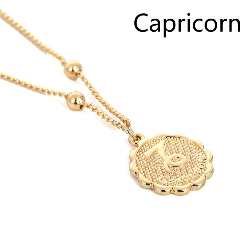 12 Constellation Necklace Zodiac Stainless Steel Coin Necklace Necklaces Pendants Jewelry: Capricorn / gold