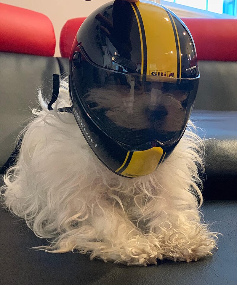 Knappe Leuke Pet Helm Kat Hond Cap Outdoor Anti-Collision Hoed Voor Kat Hond Styling Foto Mini Motorhelm props Huisdier Hoed