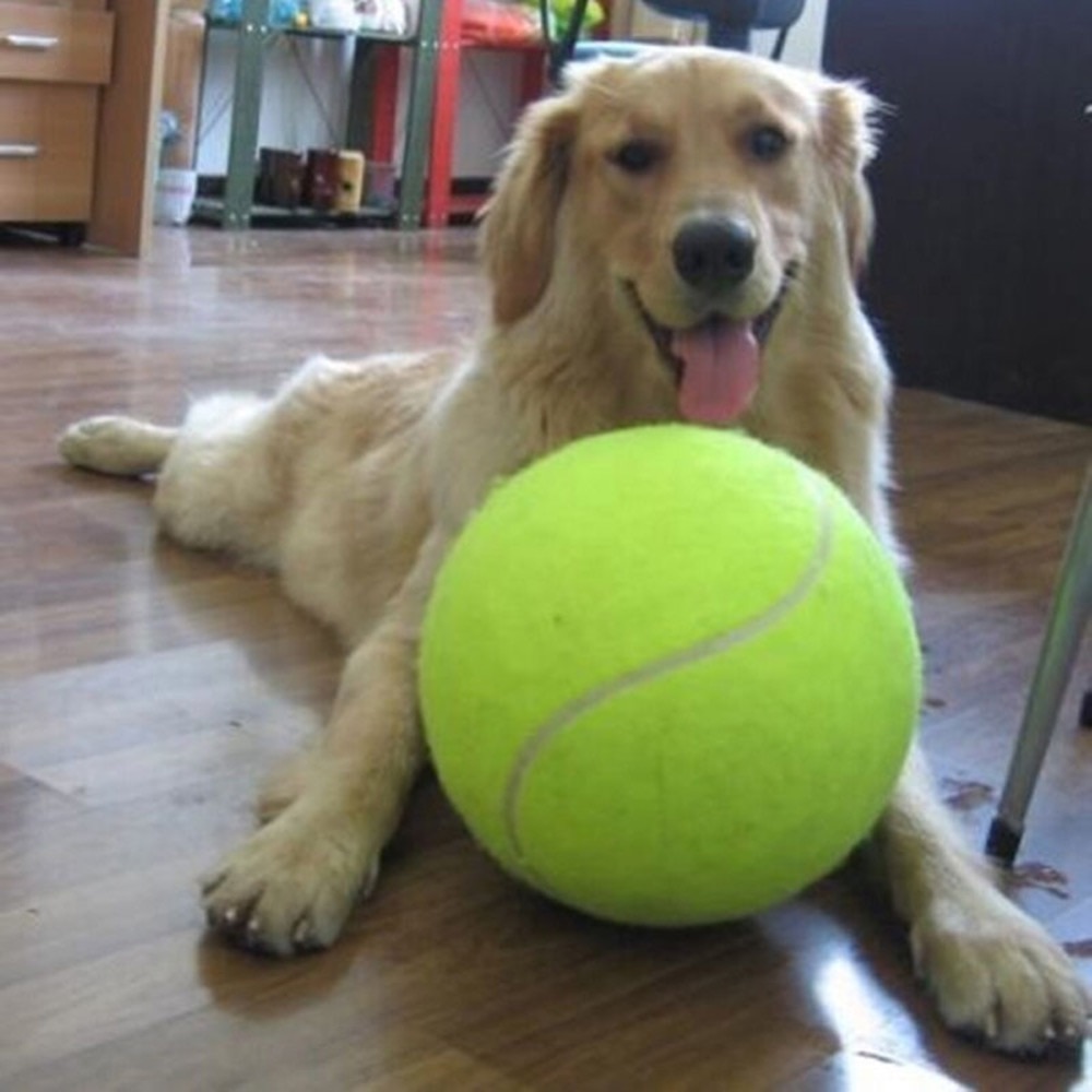 24cm kæmpe tennisbold til kæledyrs tyglegetøj stor oppustelig tennisbold signatur mega jumbo kæledyrs legetøjskugle leverer udendørs cricket
