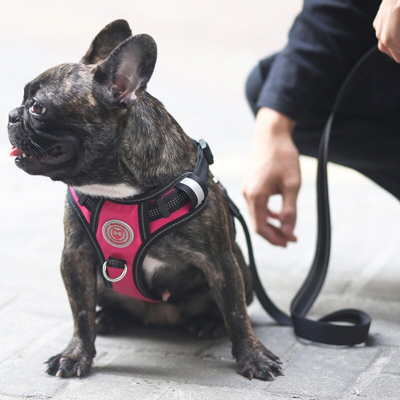 Nylon Pet Dog Harness French Bulldog Harness.Puppy Small Dogs.Harnesses Adjustable Pet Dog.Chest Strap Pet Dog Accessories