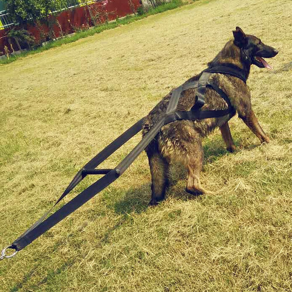 Large Dog Harness Leashes Well Trained Dog Sled Weight Pulling Harnesses For Bikejoring/ Skijoring/Dog Sledding/Canicross