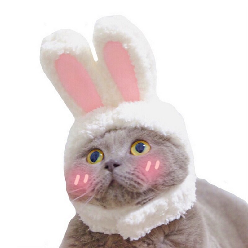 Söt sällskapshund katter mössa keps kanin mössa för katt hundar casual canvas keps för hund kitty hatt chihuahua djurprodukter 30