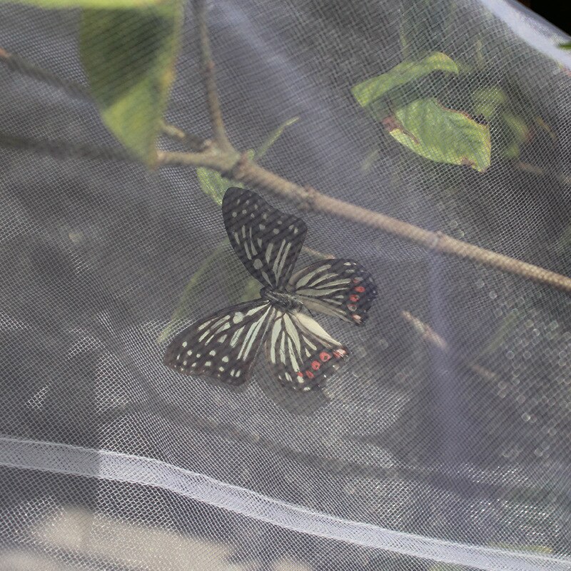 Cage à insectes Transparent suspendu Nature Observation aéré papillon abeille Habitat maison outil d'élevage