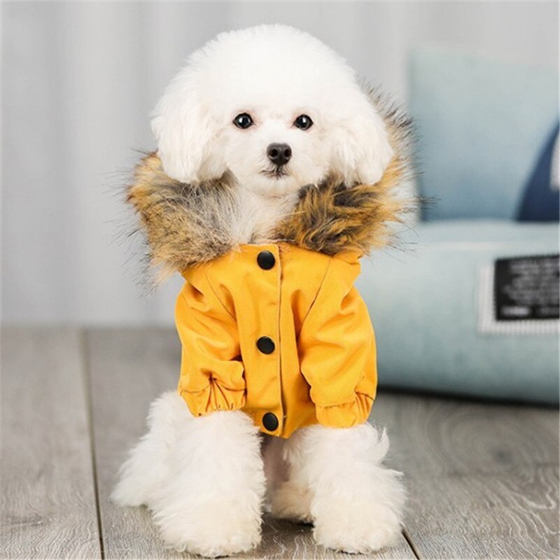 Dog Fur Jacket Warm for Winter B927: Orange / L