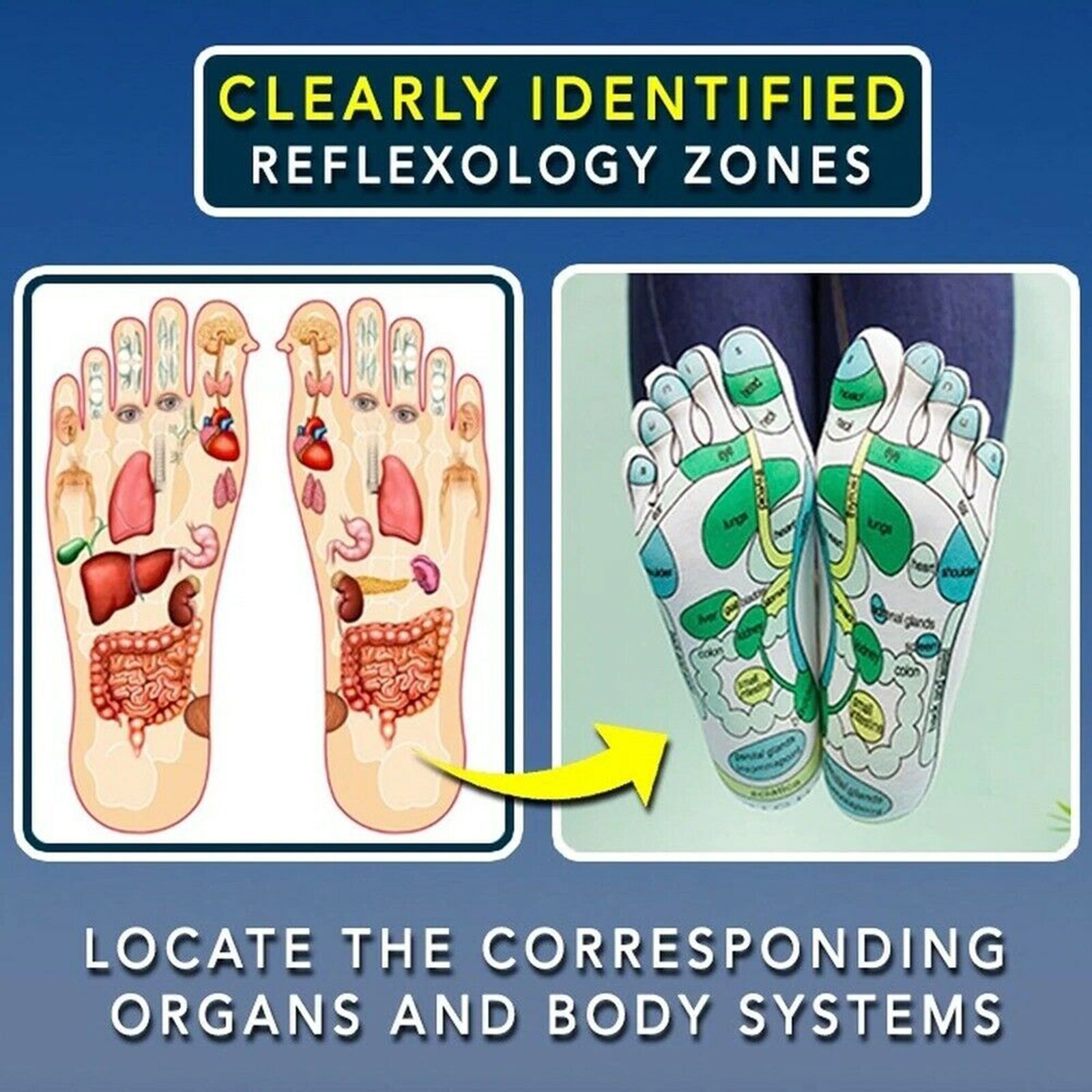 Chaussettes acupression réflexologie, Massage des pieds, zone de réflexion, avec bâton de Massage, Zones marquées