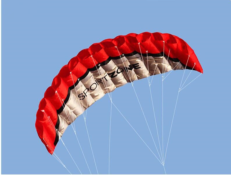 Fun! 250 CM Dual Line Parafoil Stunt Kite Met Vliegende Gereedschap Braid Zeilen surf Rainbow Kite Outdoor sport Voor speelgoed
