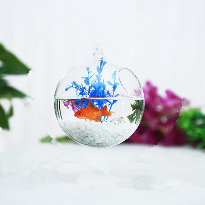 12 Stks/pak Diameter = 10 Cm Helder Glas Terrarium Aquarium Thuis Decoratieve Handgemaakte Opknoping Vissenkom Platte En Ronde Bodem