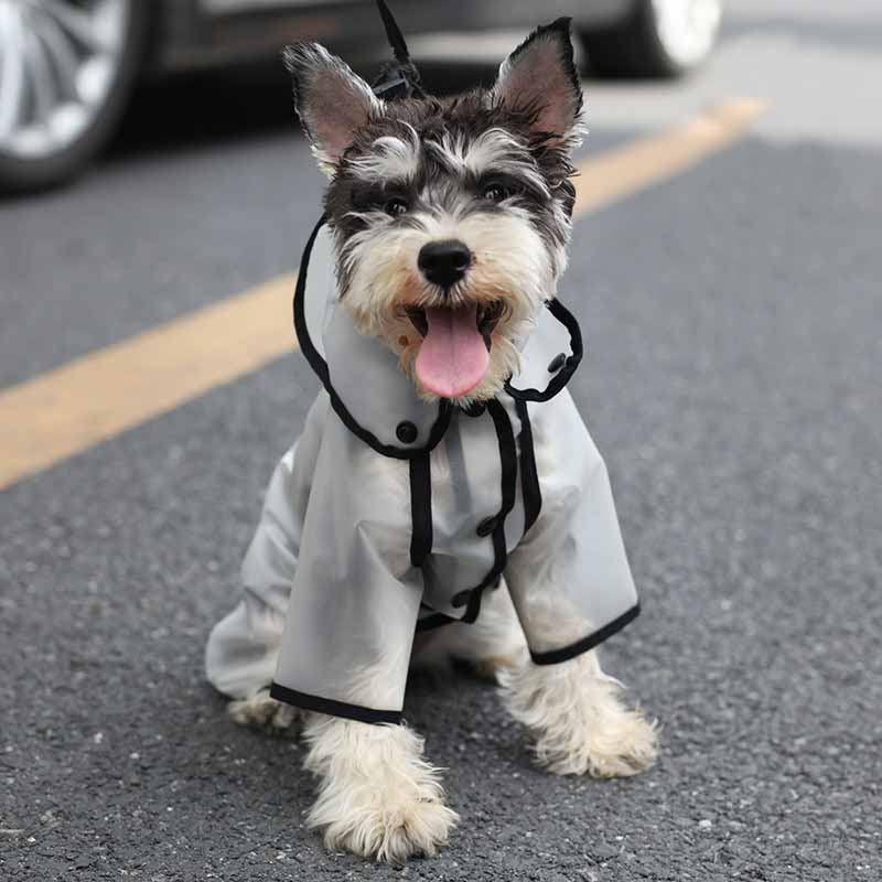 Vandtæt jumpsuit hund regnfrakke med hætte kæledyr hund hvalp regnfrakke kappe kostumer tøj til små hunde kæledyrsforsyning 10a: Xs