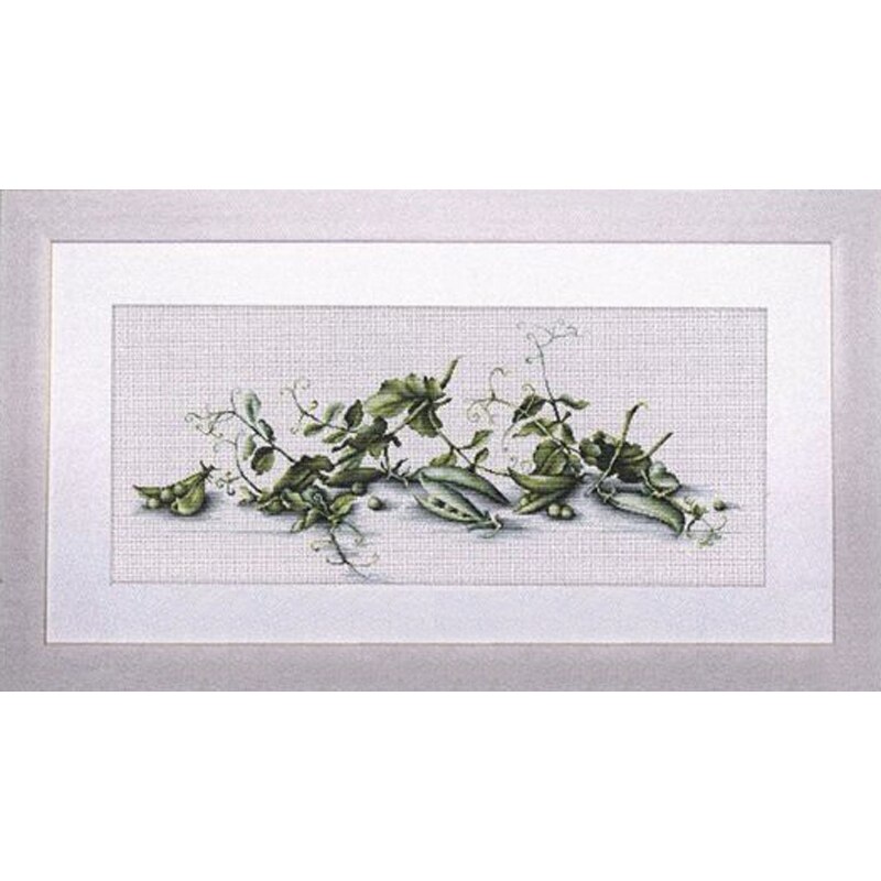 Counted Cross Stitches Kit Still life series Friut of Apple Plant of Pea and Pea flowers Luca-S B2259 Merejka K-82: Pea / 18CT unprint canvas