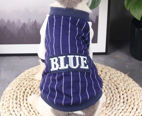 Veste pour chat vêtements pour chat: Bleu / S