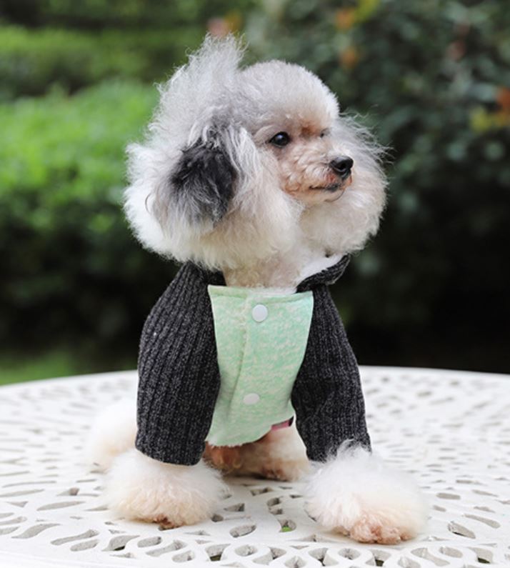 Winter Hund Katze Warme Mantel Jacke Katze Welpe Hoodie zur Seite fahren Buchstaben Winter Outfit 6 Größen