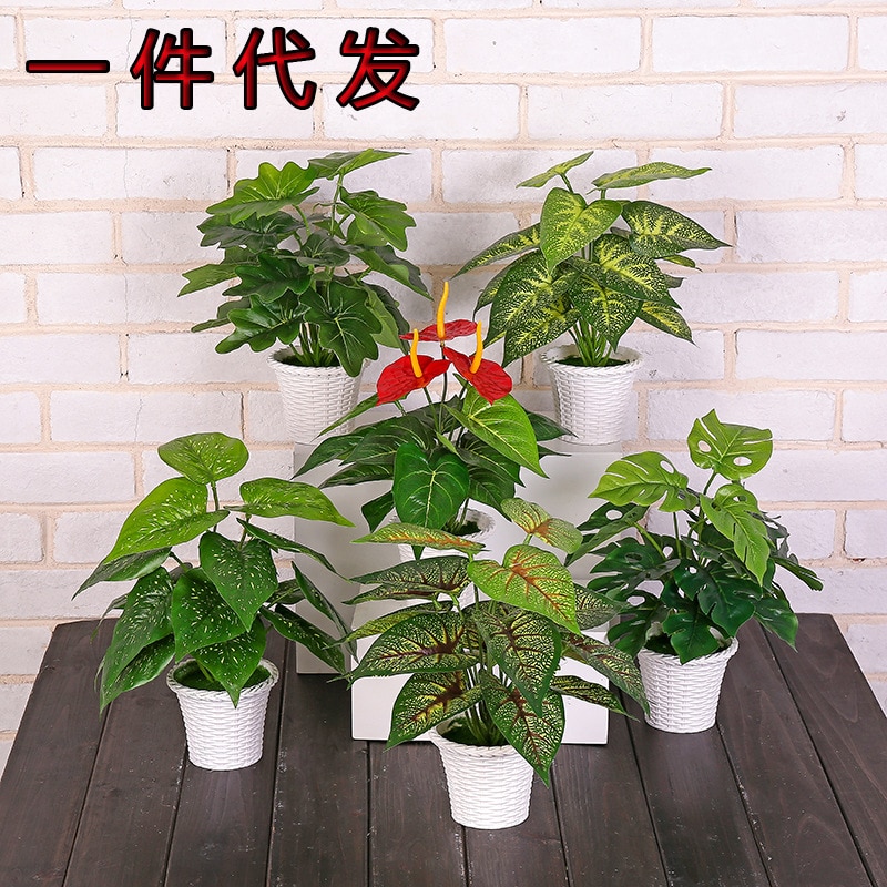 Kunstmatige Plant Potplanten Met Potten 30Cm Bonsai Bloem Decoratie Tafel Indoor Woonkamer Decoratie Terug Van Schildpad Anthuri