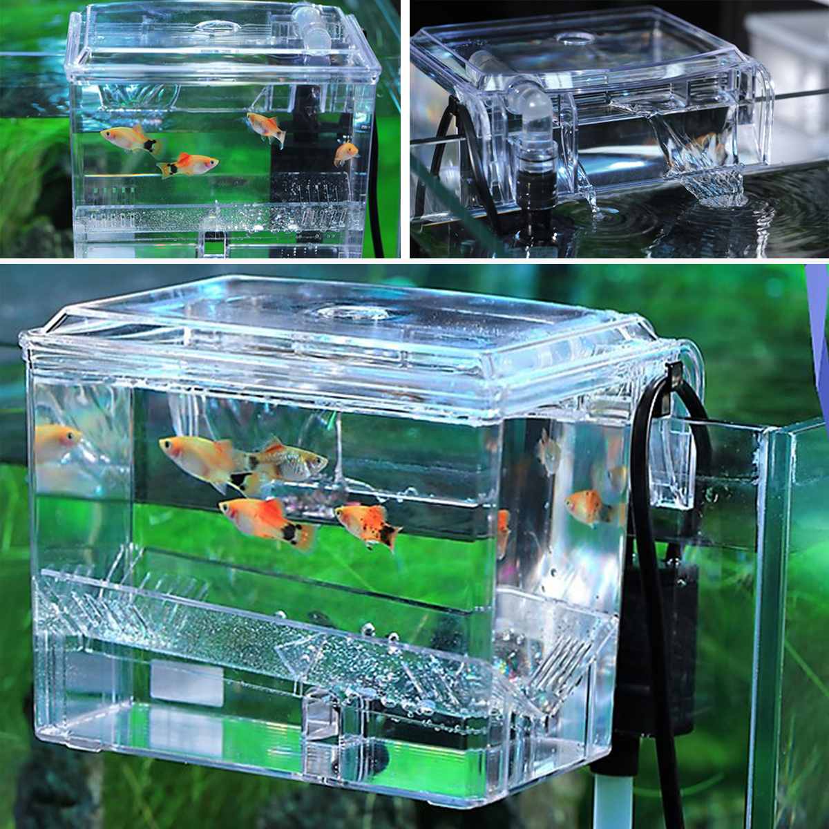 Fish Tank Breeding Hatchery Mini House Incubator Aquarium Transparent Breeder Isolation Hanging Box Reptile Turtle Cage Pump