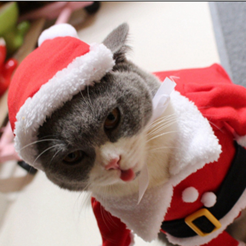 [MPK Gatto Costumi] Babbo natale del costume Del Gatto di!! carino Santa! Rosso Santa animale domestico Gatto Vestiti Vestito, Cappotto Abbigliamento, X-mas costume