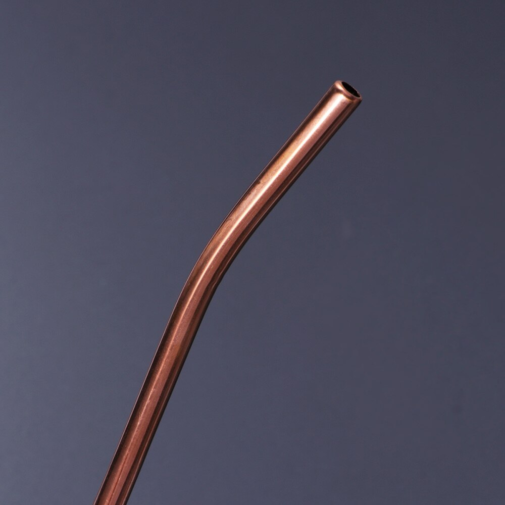 6 st/förpackning rostfritt stål oval form metall drickssked sugrör återanvändbara sugrör cocktailskedar set (roséguld)