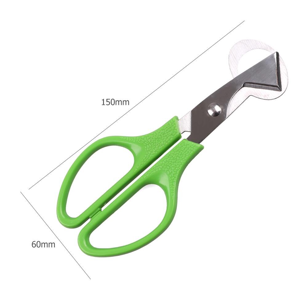 Vogels Kwarteleitje Schaar Duif Snijden Opener Cutter Keuken Cracker Clipper Shear Mes Snijmachines Gadgets Keuken Gereedschap: Green