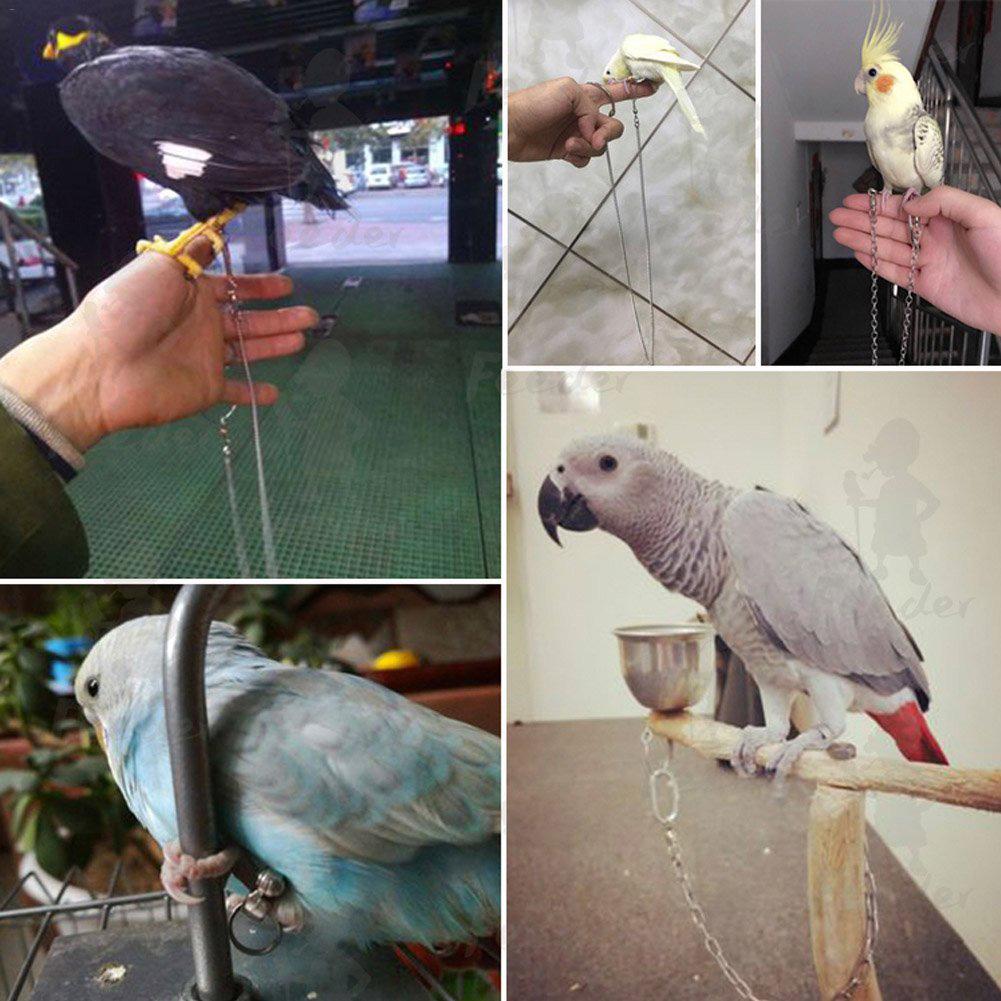 Papagei Edelstahl Fuß Ring Kette Öffnung Aktivität Ring Nyasa Nymphensittich Kakadu Sonne Conure Mönch Sittich Stehen Fußkettchen