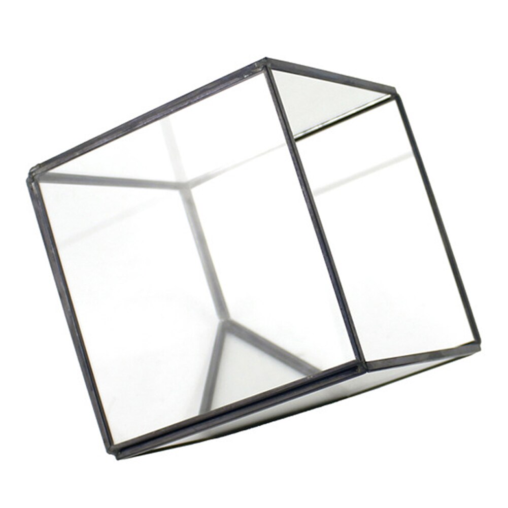 Irregular Glass Geometric Terrarium Box Tabletop Succulent Air Plant Fern Moss Pot Planter