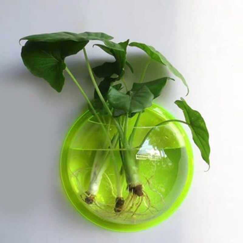 Hængende vægmonteret akvariumskål akvarieplante fisk boble akryl vaser blomsterplante pot  p7 ding: Grøn / 17cm