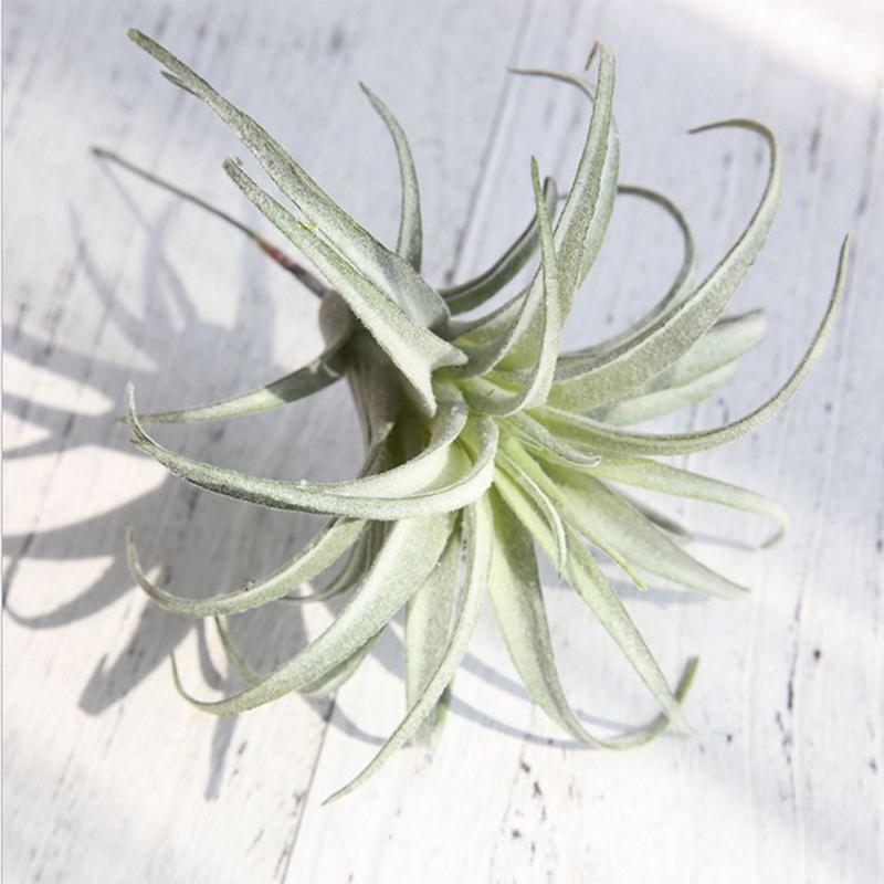 Césped Artificial de piña, plantas de aire, flores falsas como decoración de pared del hogar