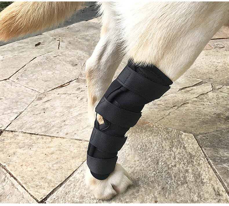 Hundearmaturer dække støtte kappe kæledyr benskade anti-slik slidgigt fast opsving bandage indpakket ben