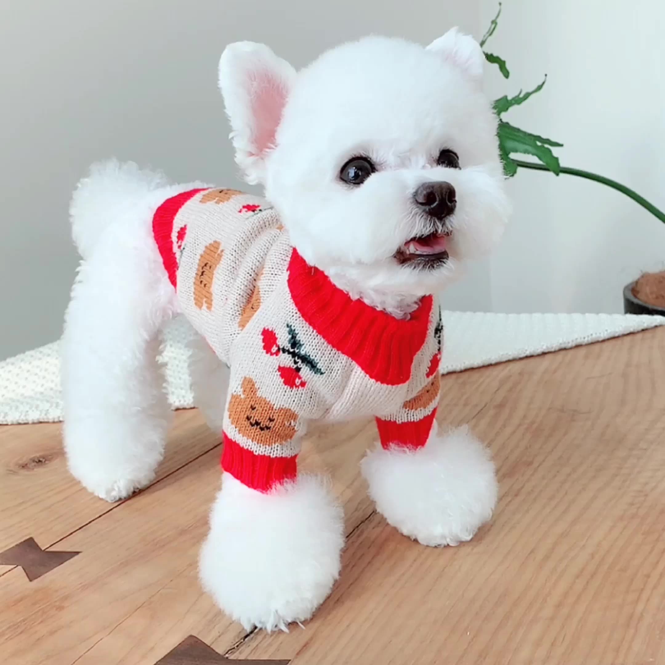 Christmas Dog Clothes Cat Sweater Coat Winter Dog Costume Outfit Garment Dachshund Poodle Pomeranian Bichon Schnauzer Clothing
