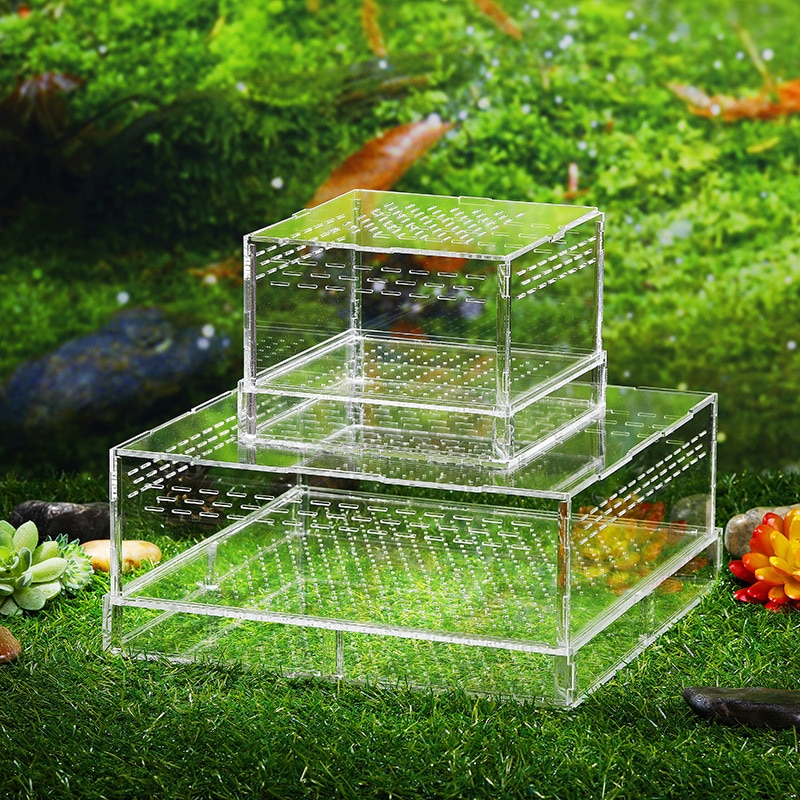 1PCS Feeding Box Living Feed Acrylic Box Barley Insect Box Yellow Mealworm Living Feeding Box