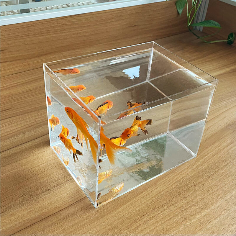 Estante de exhibición de acrílico para acuario, estantería de múltiples rejillas de escritorio para peces pequeños, aislamiento de tanque de tortugas, Paisaje en miniatura