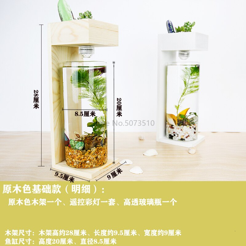 Desktop Fish Tank Home Desk Ecological Microscopic Fleshy Thai Aquarium Plastic: Navy Blue