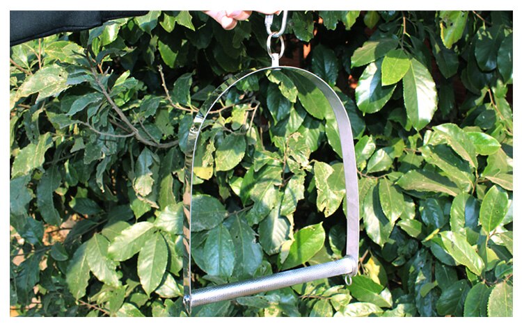 Creativo Uccello del Pappagallo Zampa Giocattolo Altalena Appeso FAI DA TE Uccello Gabbia Parrocchetto Pesce Persico Del Basamento Amaca Anello Ponte Forniture per Animali Da Compagnia di Trasporto libero