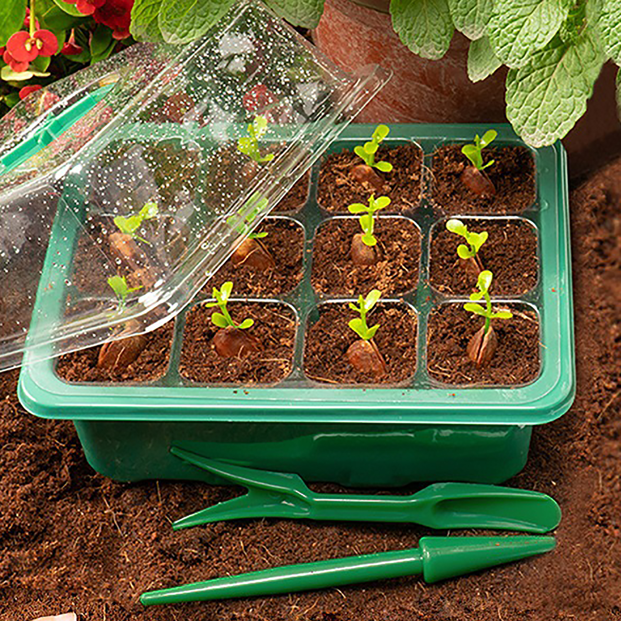 Caja de vivero de plántulas con luz LED de cultivo, bandeja de inicio de semillas, maceta de cría de plántulas, macetero de germinación de invernadero de jardín