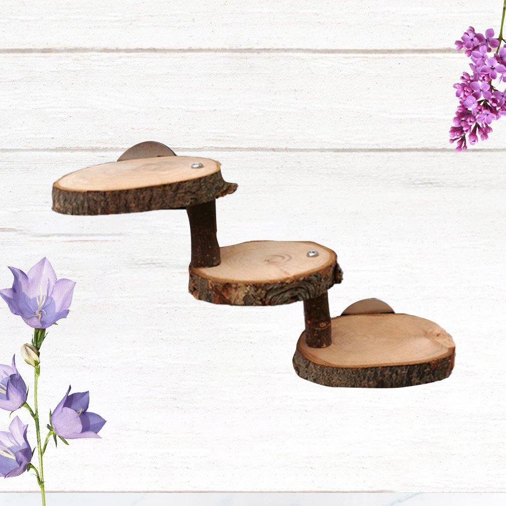 1pc Hamster Springboard Ladder Gnawing Pet Playing Biting Ladder for Chinchillas Guinea: Picture 1