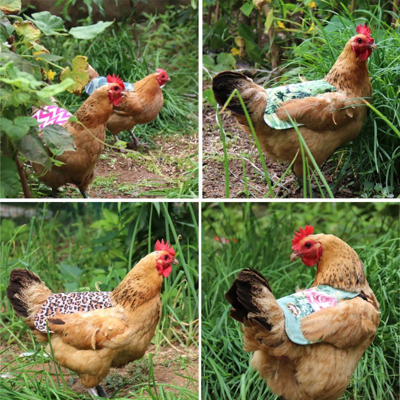 Ropa ajustable para mascotas, delantal para gallinas, Sillín para aves de corral, soporte de protección de plumas, Protector de pollo, vestido para gallinas