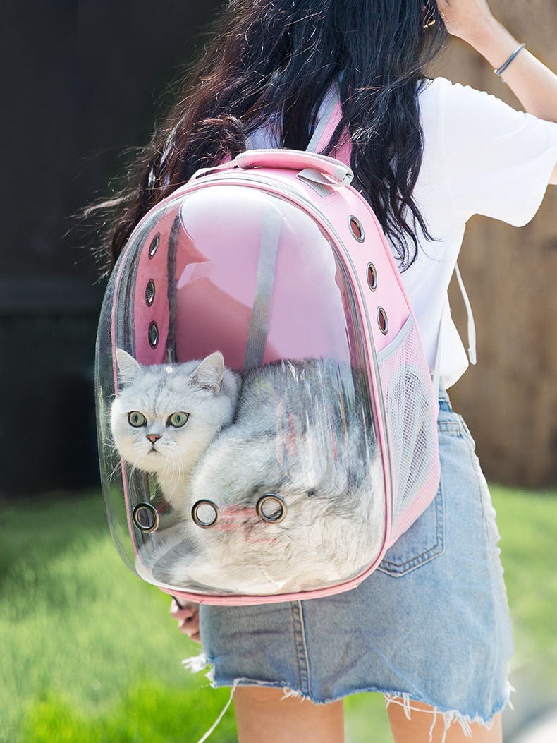 Black Space Capsule Cat Backpack Window Large Portable Shoulder Backpack Breathable Bag Pet Kat Rugzak Petvpuppy Carrier KK60MX