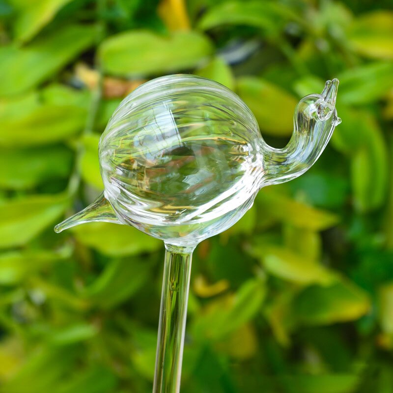 Pvc/glas självbevattningsanordningar växt blommor vattnare fågelstjärna hjärta vattenmatare automatisk vattning för inomhusträdgård: Snigel