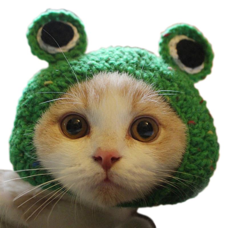 Tejido de punto lindo gato sombreros Rana cachorro gatito sombrero para invierno y otoño de algodón hecho a mano mascota de perro accesorios para perrito: S
