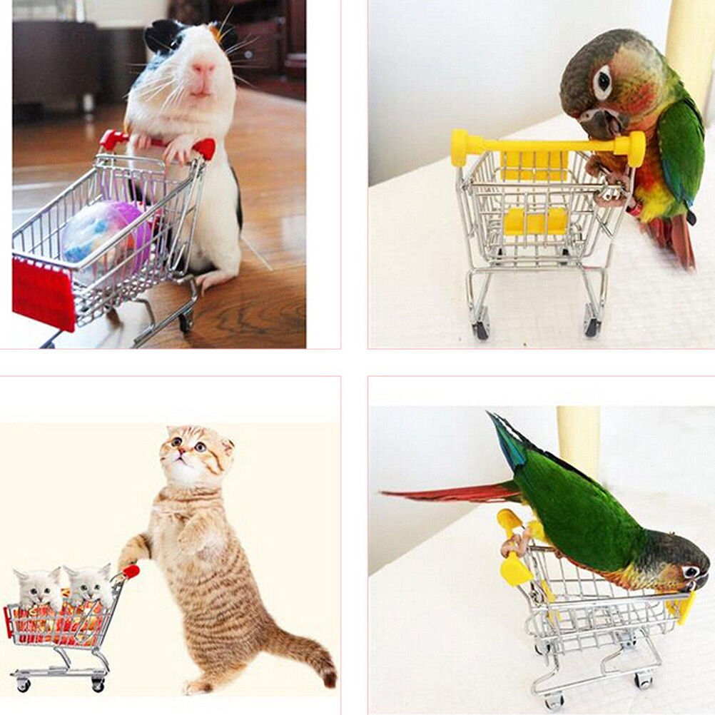 1pc Neue Bunte Lustige Mini Supermarkt Warenkorb Wagen Haustier Vogel Papagei Hamster Spielzeug Lagerung Telefon Halfter Baby Spielzeug