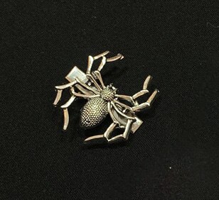 Vintage Dark Spider Schedel Metalen Haarspelden Voor Vrouwen Meisje Dier Punk Rock Cool Party Mode Haar Clip Accessoires Sieraden: 2