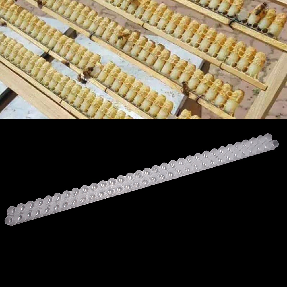 15PCS/Bulk Beekeeping Double Rows 33 Holes Cells Collect Hold Bee Milk Pulp Royal Jelly Strip Sheet Bar Plastic Bees Supplies