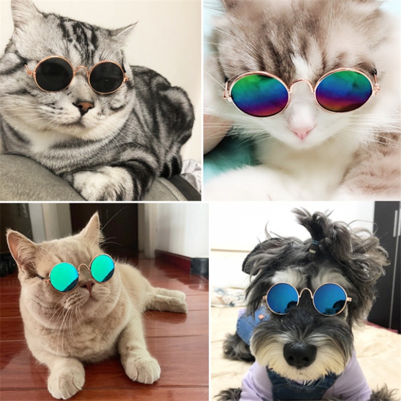 1pc dejlige kattekattebriller hundebriller kæledyrsprodukter kitty legetøjshunde solbriller fotos 3 cm kæledyrstilbehør rundt farverige