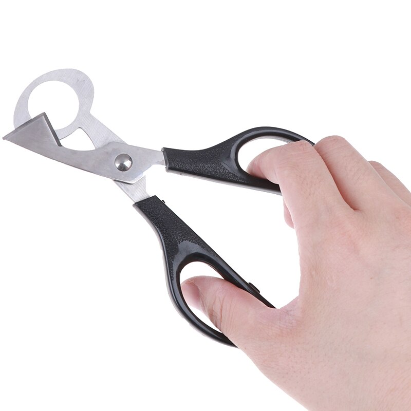 Kwartel Ei Cutter Duif Opener Vogel Tool Cracker Blade Clipper Keuken Schaar Willekeurige Kleur