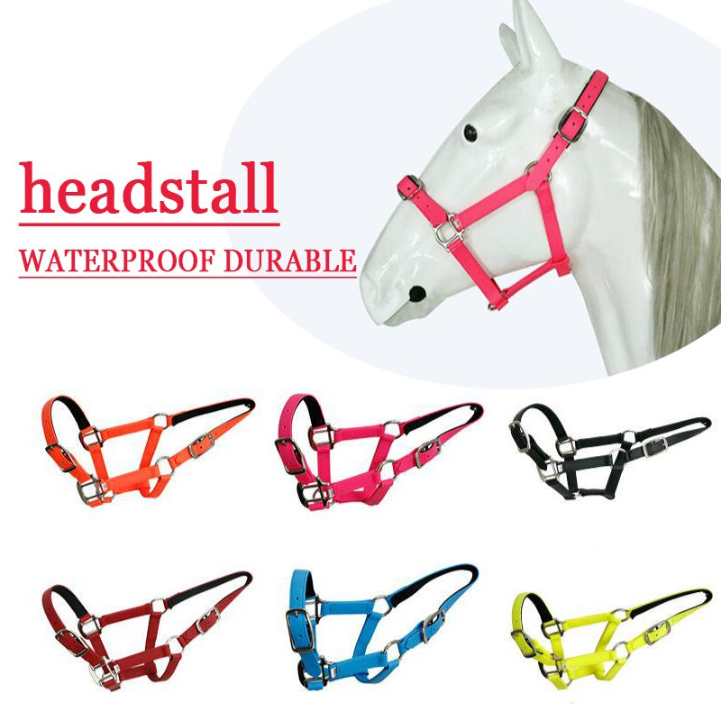 Imbracatura per cavalli